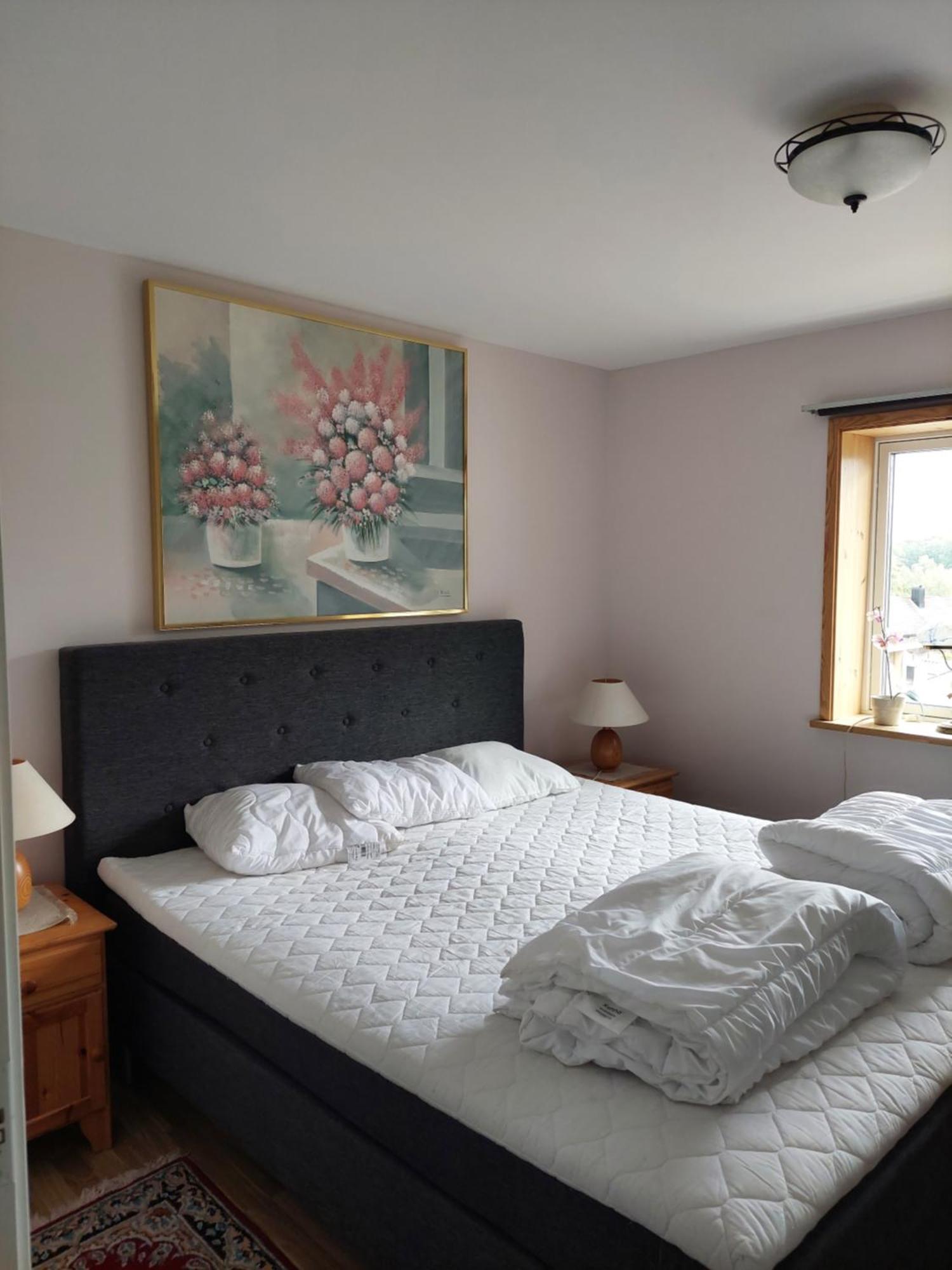 Villa Med Sjoutsikt Immeln 外观 照片