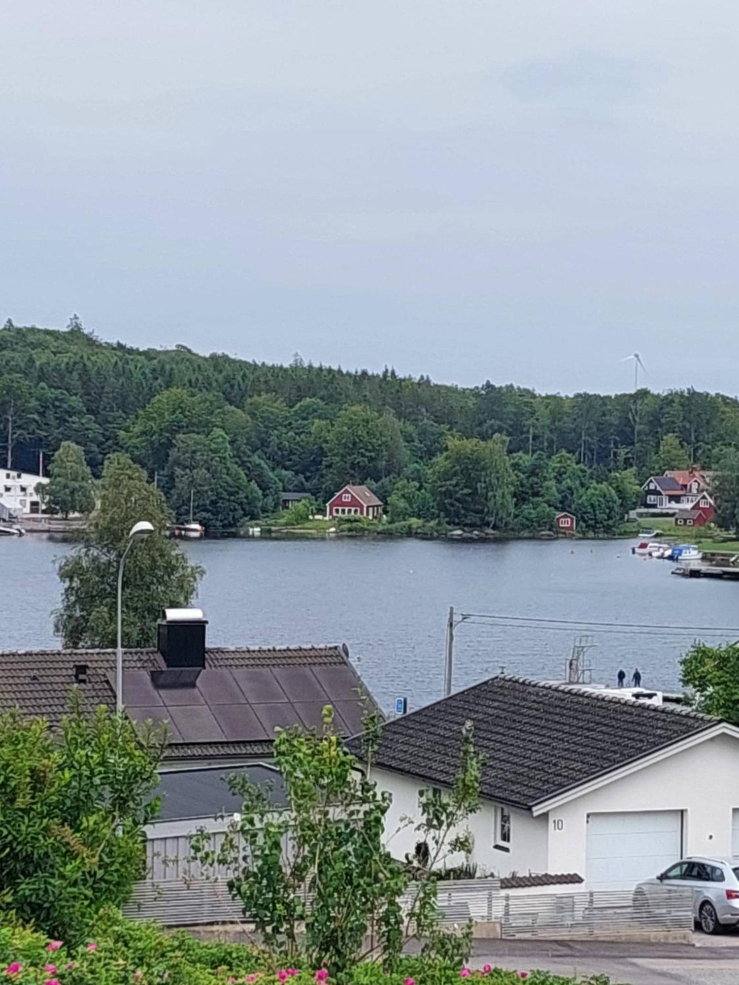 Villa Med Sjoutsikt Immeln 外观 照片