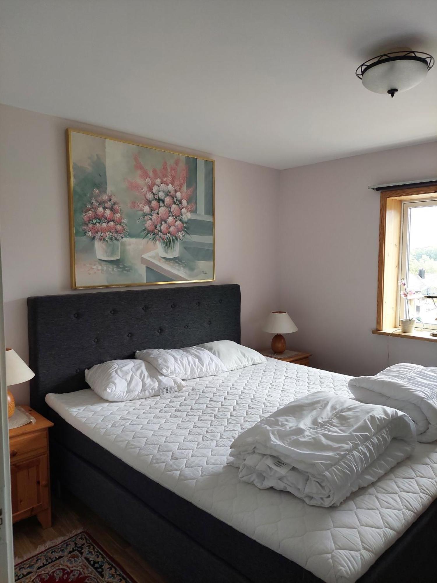 Villa Med Sjoutsikt Immeln 外观 照片