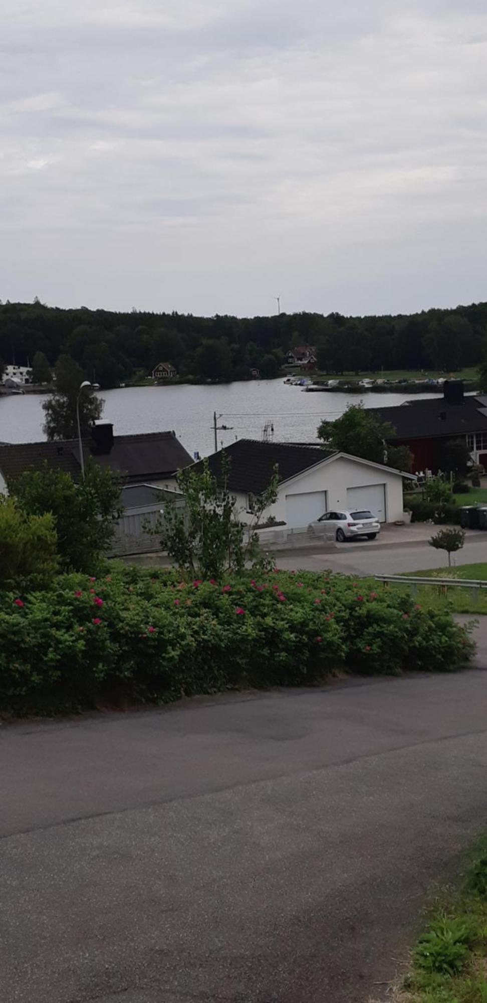 Villa Med Sjoutsikt Immeln 外观 照片